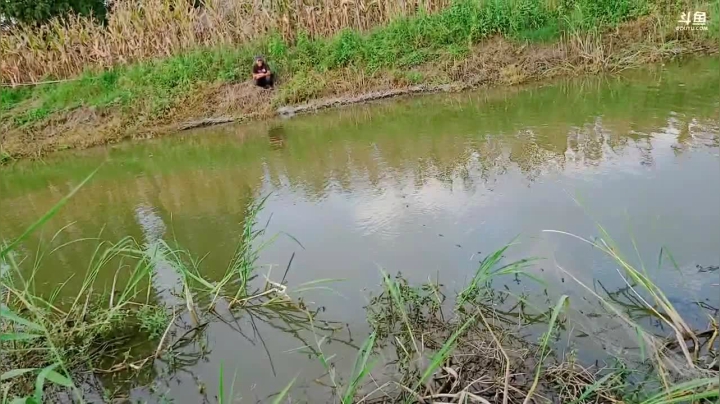 巡野记第一天 2020-07-31 18点场