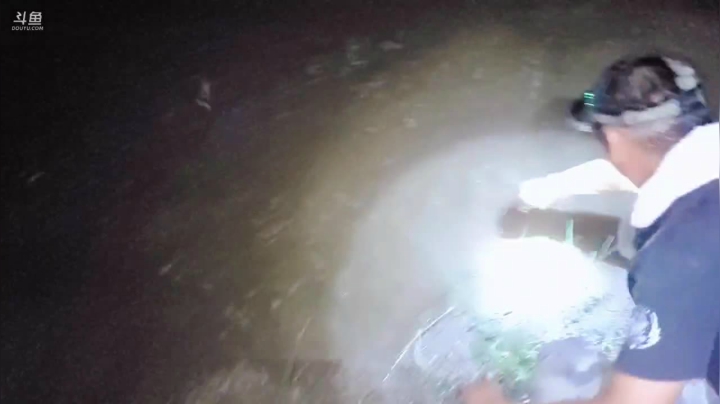 巡野记第一天 2020-07-31 22点场