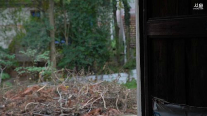 哆啦爱梦梦发布了一个斗鱼视频2020-08-02