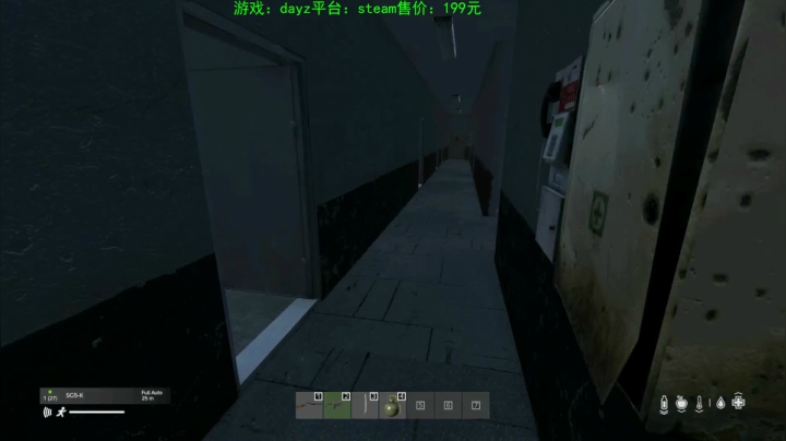 dayz (末日到底什么最可怕） 2020-08-03 20点场