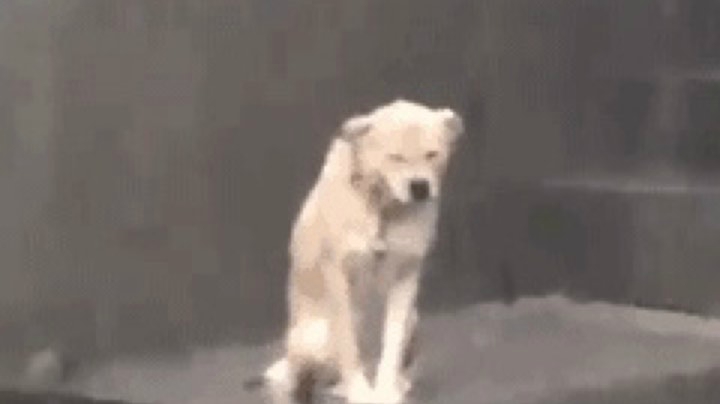 芜湖
