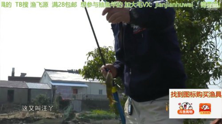 我在斗鱼看贱贱钓鱼直播户外