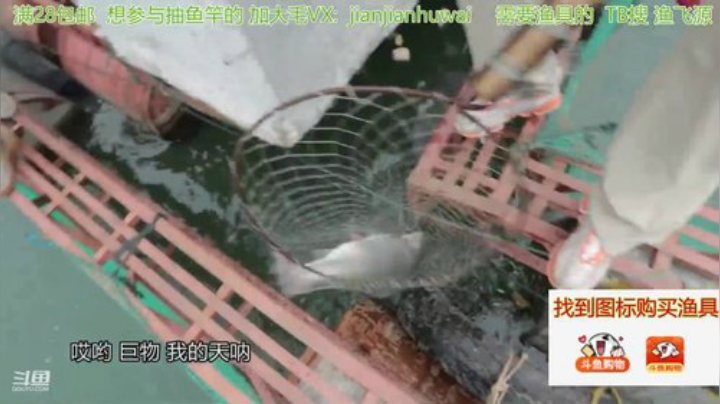 我在斗鱼看贱贱钓鱼直播户外