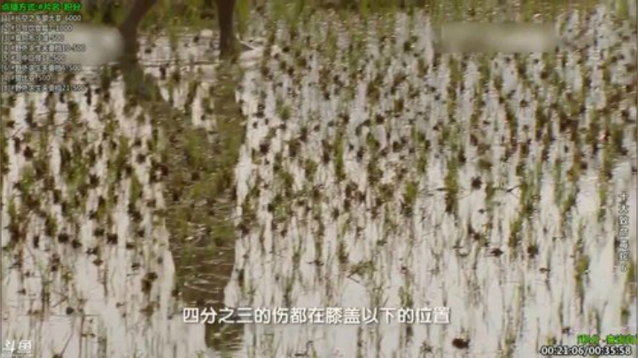 户外遛狗王飞哥发布了一个斗鱼视频2020-08-03