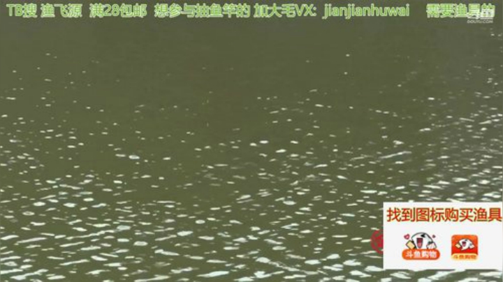 我在斗鱼看贱贱钓鱼直播户外