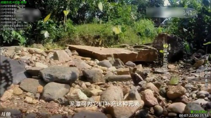 静思世语发布了一个斗鱼视频2020-08-03