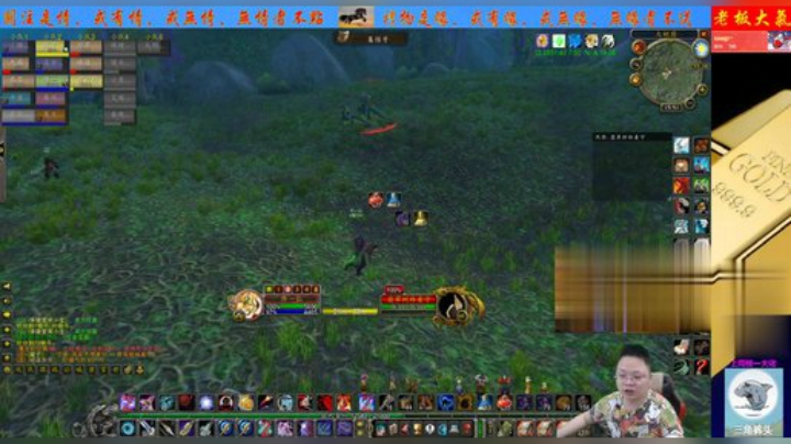 魔兽世界怀旧服：甲虫王绿龙任务线！专业猎人助阵，轻松了好多！