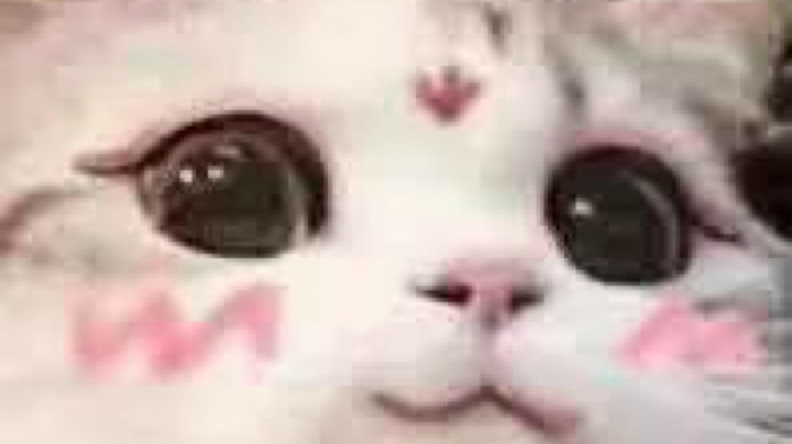 直播回看