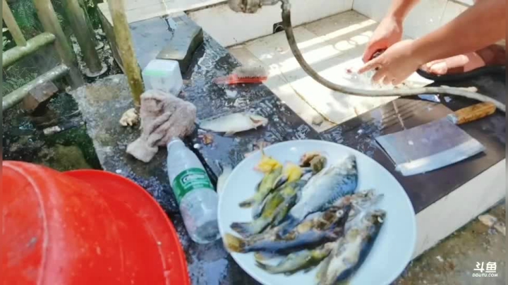 天气晴朗摸鱼噢力给 2020-08-05 14点场