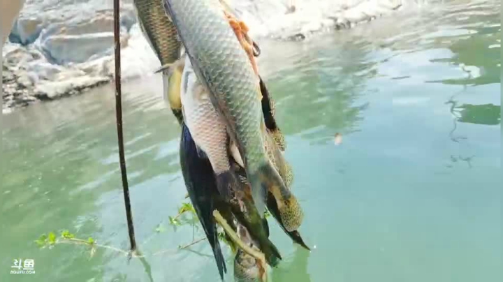 天气晴朗摸鱼噢力给 2020-08-05 12点场