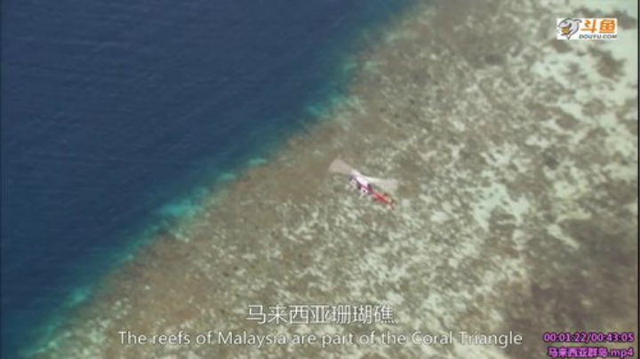 户外遛狗王飞哥发布了一个斗鱼视频2020-08-05