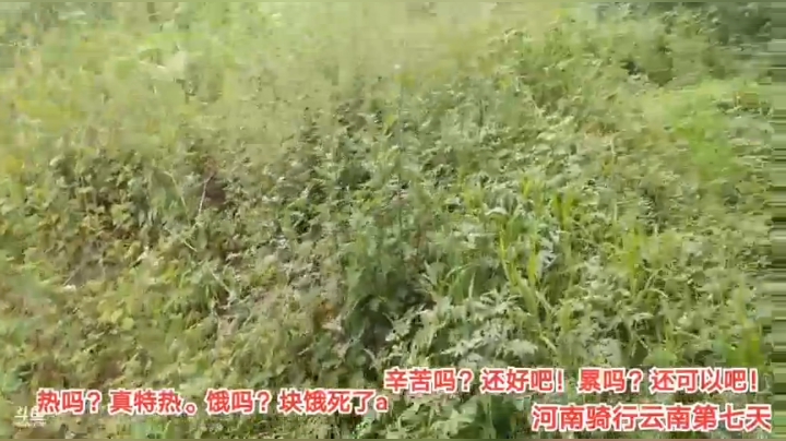 8.4野餐2