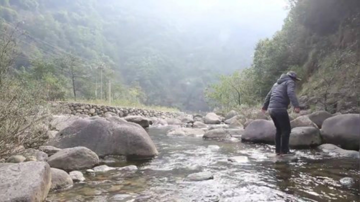 哆啦爱梦梦发布了一个斗鱼视频2020-08-06