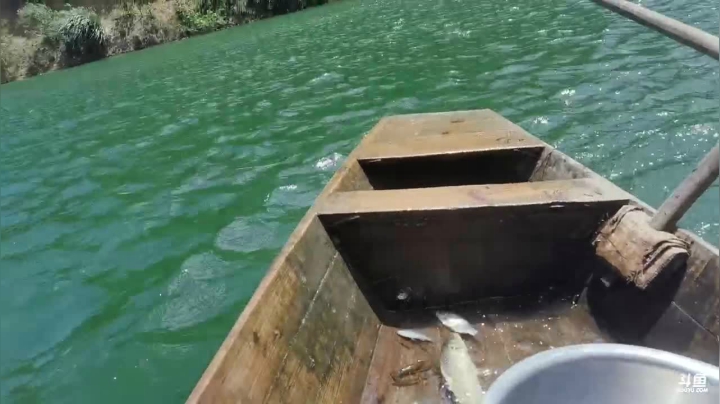 许久没收的地笼肯定有惊喜 2020-08-06 10点场