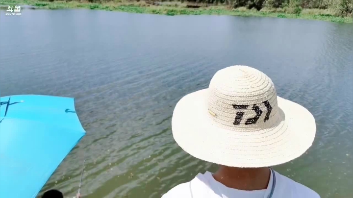 鼓起勇气钓鱼去 2020-08-06 13点场