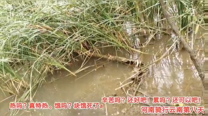 8.5气宇轩昂的大爷3