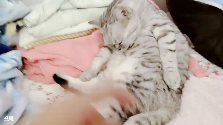 ❤深夜聊天室❤ 2020-08-06 01点场