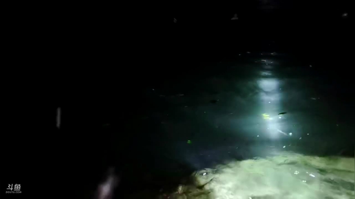 开心打野快乐美食 2020-08-06 19点场