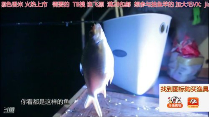 我在斗鱼看贱贱钓鱼直播户外