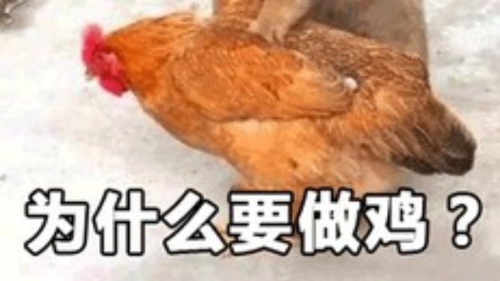 8.7晚上泰坦3女人