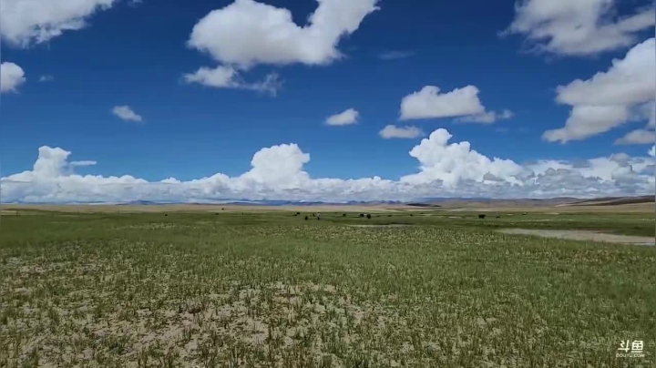 《穿越阿里》第7天 纪实直播西藏129天 2020-08-07 14点场