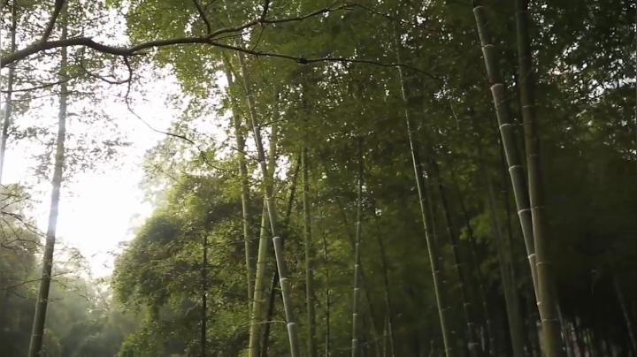 哆啦爱梦梦发布了一个斗鱼视频2020-08-07