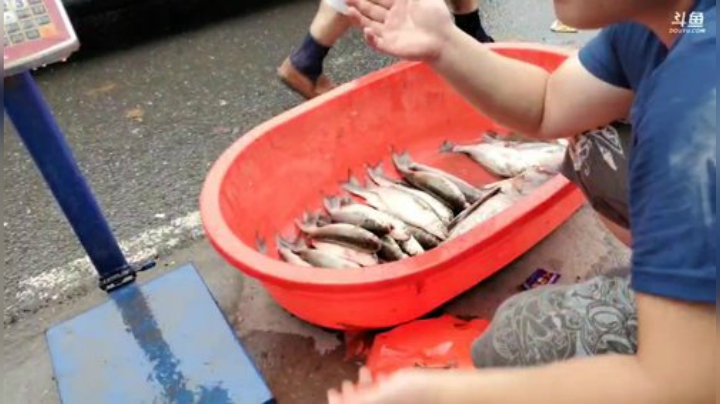 科头溜子发布了一个斗鱼视频2020-08-07