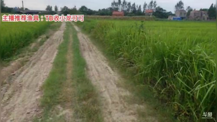 十一郎君01发布了一个斗鱼视频2020-08-08