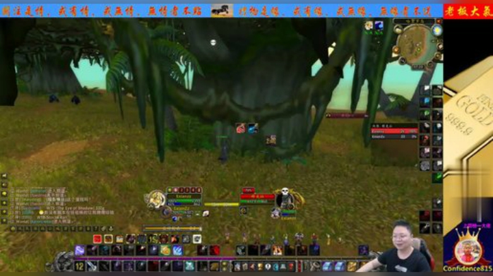 魔兽世界怀旧服：荆棘谷的巨大怪物，金刚的化身！猎人单挑打了？