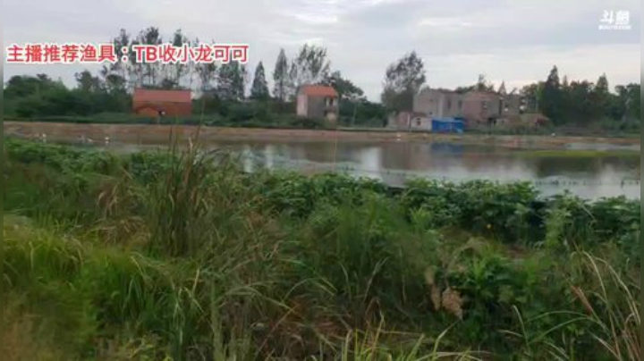 十一郎君01发布了一个斗鱼视频2020-08-08