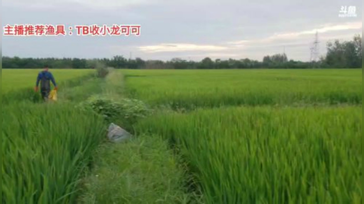十一郎君01发布了一个斗鱼视频2020-08-08