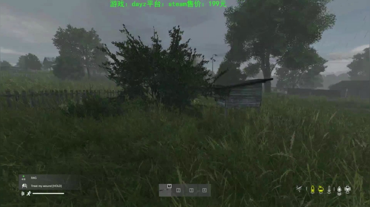 dayz (末日到底什么最可怕） 2020-08-07 20点场