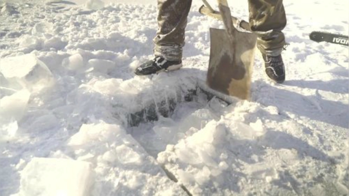 哆啦爱梦梦发布了一个斗鱼视频2020-08-08