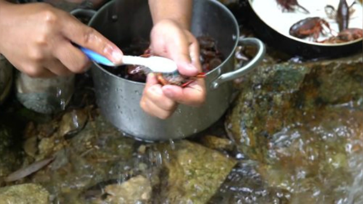 我在斗鱼看野食小哥直播美食