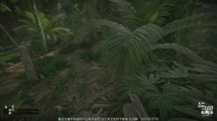 强子的直播间 3614373 2020-08-06 18点场
