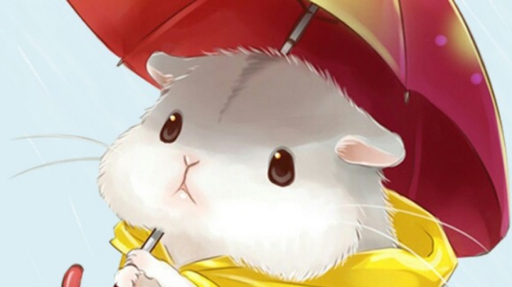 五杀