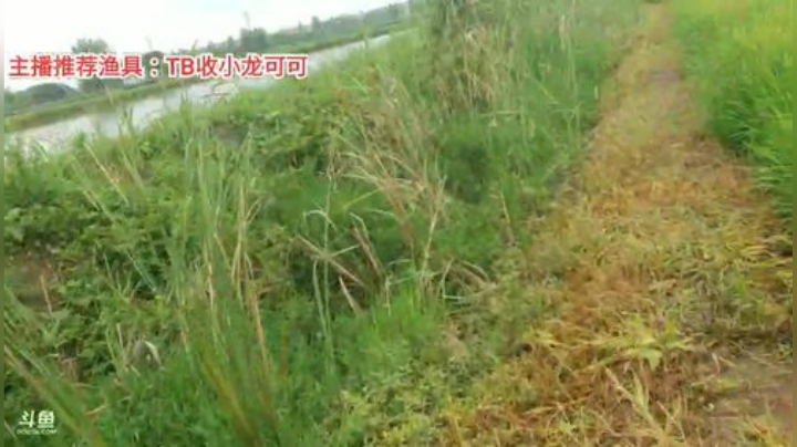 十一郎君01发布了一个斗鱼视频2020-08-09