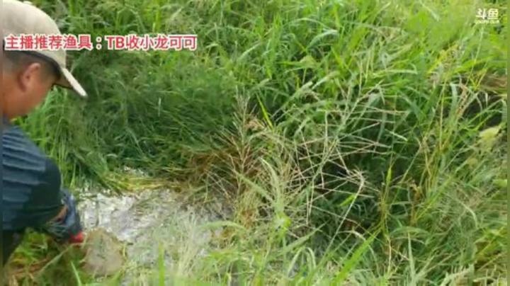 十一郎君01发布了一个斗鱼视频2020-08-09