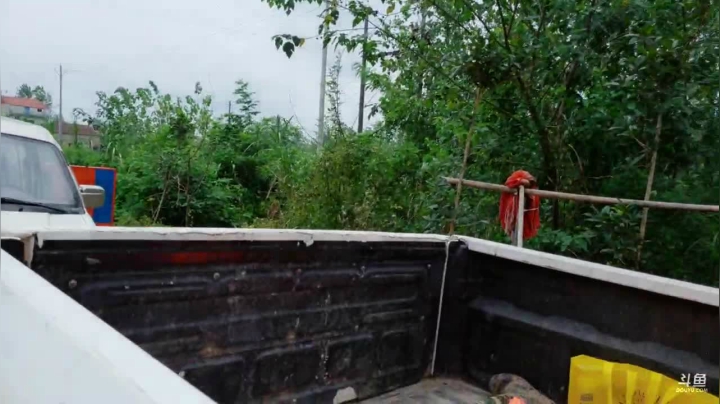 带你领略乡野四季变换 2020-08-09 12点场