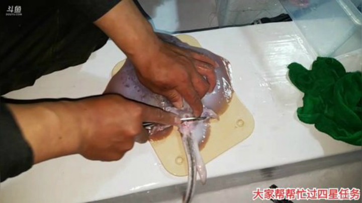 丿Good丶发布了一个斗鱼视频2020-08-09