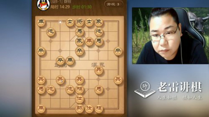 老雷的过宫炮，弃马架中炮，非常明知的选择呀！杀招马上来了