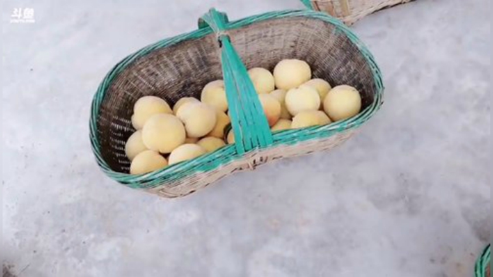 肖淑洁生命中的光和盐发布了一个斗鱼视频2020-08-09