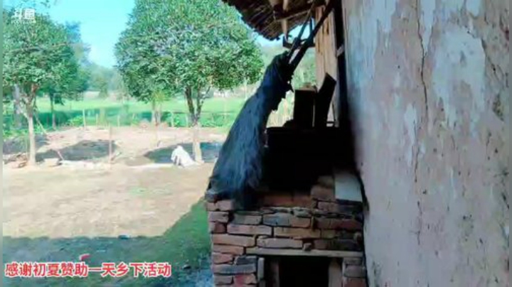 肖淑洁生命中的光和盐发布了一个斗鱼视频2020-08-10
