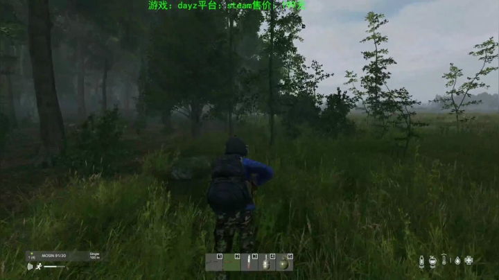 dayz (末日到底什么最可怕） 2020-08-10 20点场