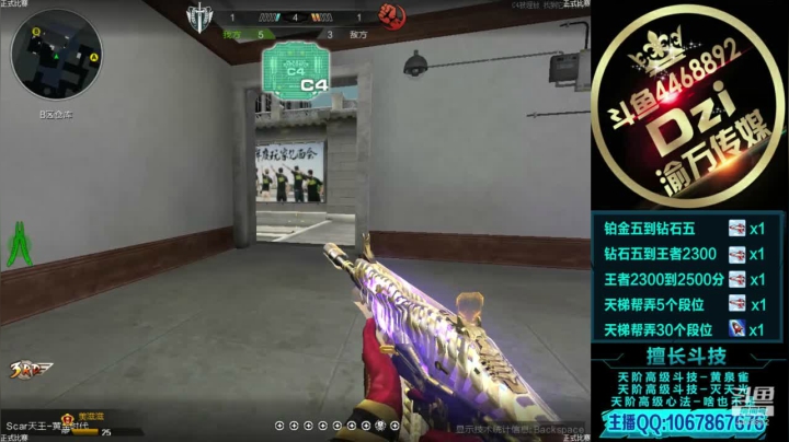 教你如何成为天梯的万金油.! 2020-08-10 15点场