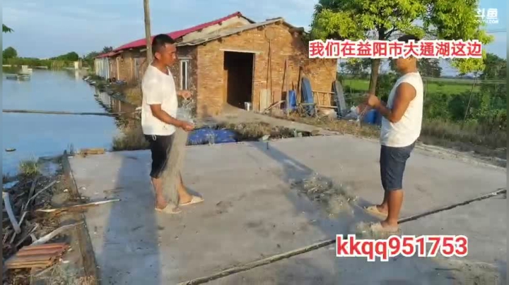 一网50斤白条小目标 2020-08-12 17点场