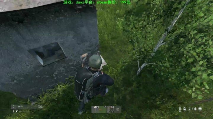 dayz (末日到底什么最可怕） 2020-08-11 20点场