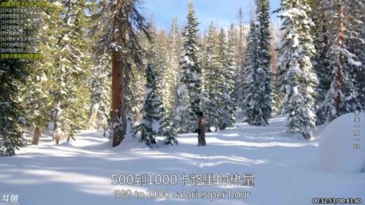 户外遛狗王飞哥发布了一个斗鱼视频2020-08-12