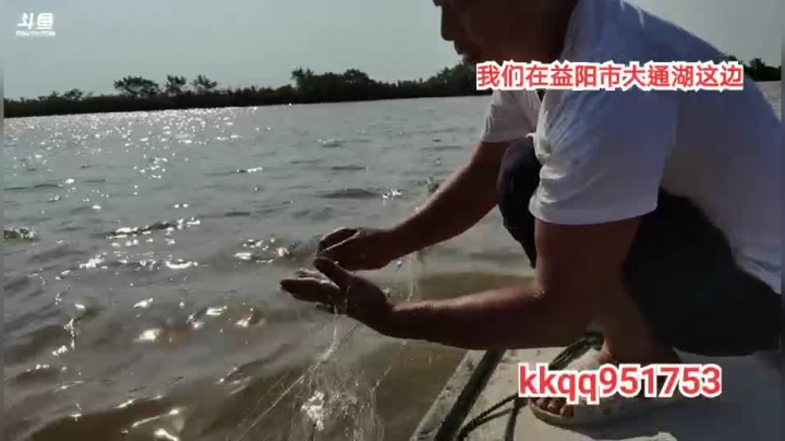 一网50斤白条小目标 2020-08-12 15点场