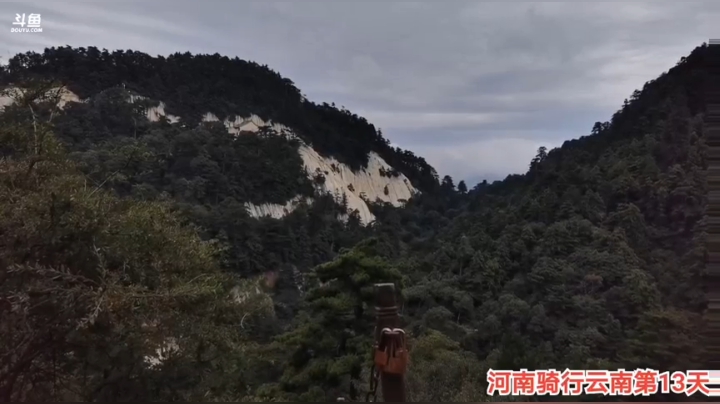 8.11摆摊卖黄瓜2